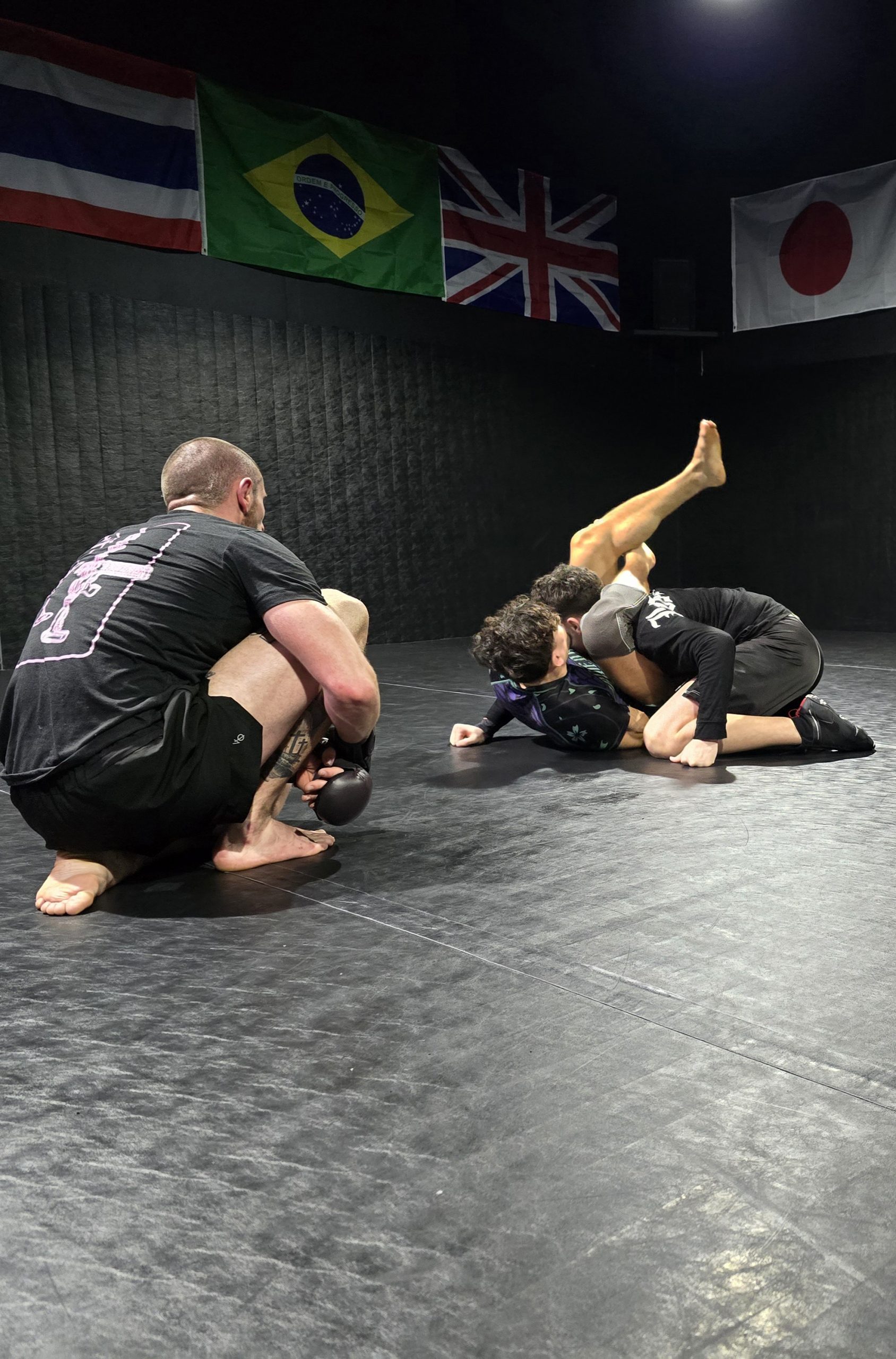 mma 1 – Gymnasium mma 1 - Gymnasium