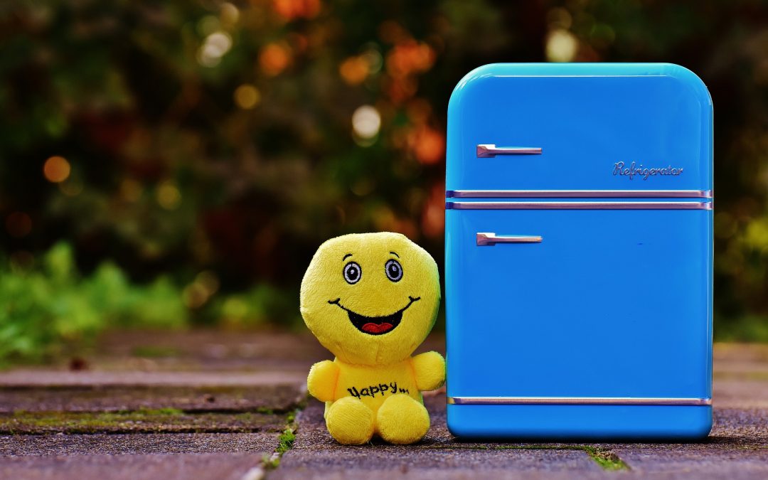 Grignotage - Gymnasium